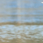Cormorans Plounérin 22
